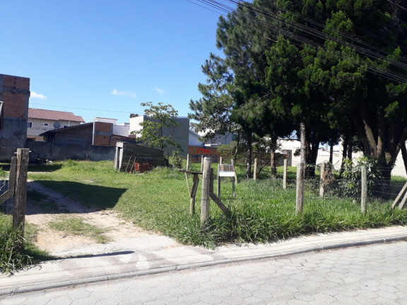 Imagem Terreno à Venda, em São João Do Rio Vermelho - Florianópolis Imagem Terreno à Venda, em São João Do Rio Vermelho - Florianópolis