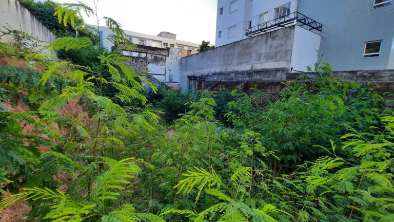 Imagem Terreno à Venda, 378 m² em Gutierrez - Belo Horizonte