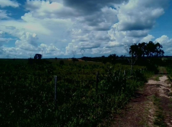 Imagem Imóvel à Venda,  em Colinas Do Tocantins - Colinas Do Tocantins