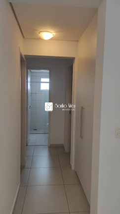 Imagem Apartamento com 3 Quartos para Alugar, 87 m² em Jardim Aquarius - São José Dos Campos Imagem Apartamento com 3 Quartos para Alugar, 87 m² em Jardim Aquarius - São José Dos Campos