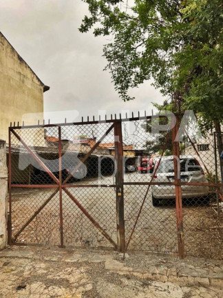 Imagem Terreno à Venda, 185 m² em Vila Maria Alta - São Paulo