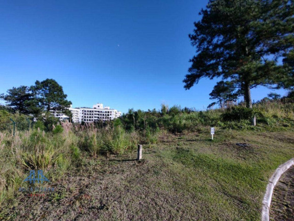 Terreno à Venda, 450 m² em Itacorubi - Florianópolis