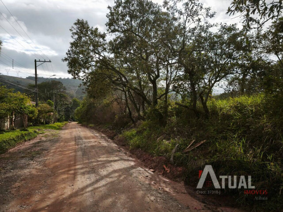 Imagem Terreno à Venda, 353 m² em Jundiaizinho (terra Preta) - Mairiporã