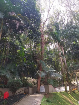Imagem Imóvel com 2 Quartos à Venda, 58 m² em Vila Andrade - São Paulo Imagem Imóvel com 2 Quartos à Venda, 58 m² em Vila Andrade - São Paulo