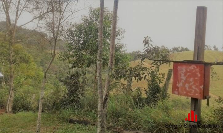 Imagem Chácara com 4 Quartos à Venda, 45.000 m² em Lageado - Santo Antônio Do Pinhal Imagem Chácara com 4 Quartos à Venda, 45.000 m² em Lageado - Santo Antônio Do Pinhal