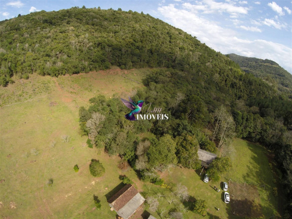 Imagem Imóvel à Venda, 240.000 m² em Linha Forqueta - Gramado Imagem Imóvel à Venda, 240.000 m² em Linha Forqueta - Gramado