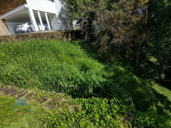Imagem Terreno à Venda, 794 m² em Córrego Grande - Florianópolis Imagem Terreno à Venda, 794 m² em Córrego Grande - Florianópolis