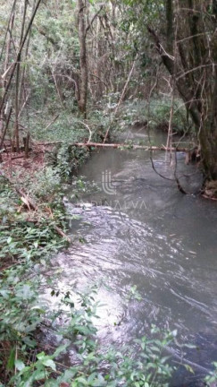 Imagem Fazenda à Venda, 10.649 m² em Cognópolis - Foz Do Iguacu