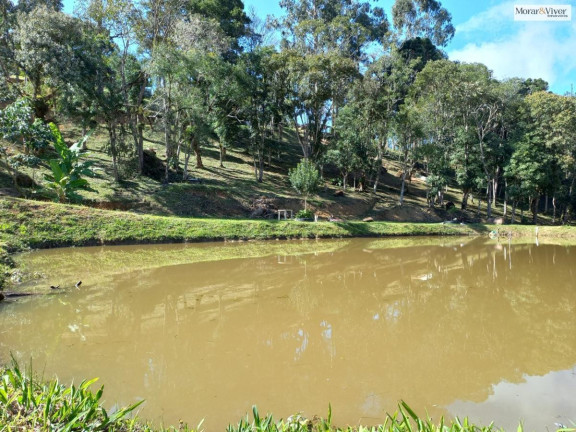 Imagem Imóvel à Venda, 8.000 m² em Zona Rural - Quatro Barras Imagem Imóvel à Venda, 8.000 m² em Zona Rural - Quatro Barras