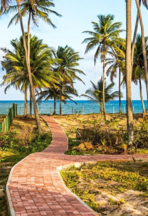 Imagem Terreno à Venda, 700 m² em Mata De São João - Mata De São João Imagem Terreno à Venda, 700 m² em Mata De São João - Mata De São João
