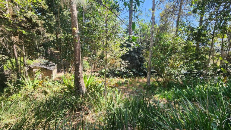 Imagem Casa com 4 Quartos à Venda, 180 m² em Jardim Salaco - Teresópolis