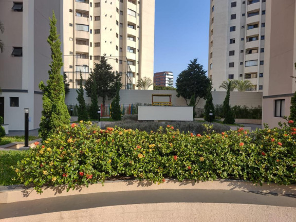 Imagem Apartamento com 3 Quartos à Venda, 70 m² em Vila Monumento - São Paulo Imagem Apartamento com 3 Quartos à Venda, 70 m² em Vila Monumento - São Paulo