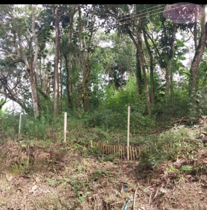 Imagem Terreno à Venda, 1.000 m² em Jardim Dos Eucaliptos - Suzano Imagem Terreno à Venda, 1.000 m² em Jardim Dos Eucaliptos - Suzano