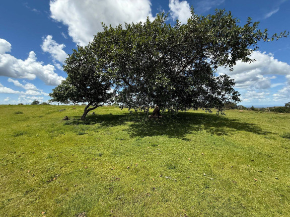 Imagem Fazenda à Venda, em Bom Jardim De Goiás Imagem Fazenda à Venda, em Bom Jardim De Goiás