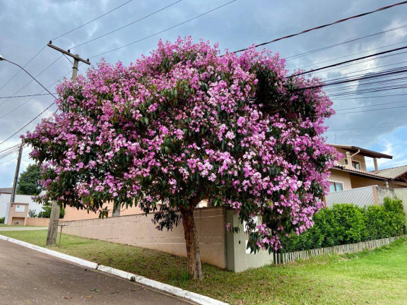 Imagem Terreno à Venda, 1.510 m² em Quartier Les Residences - Jundiaí Imagem Terreno à Venda, 1.510 m² em Quartier Les Residences - Jundiaí