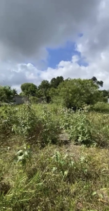 Imagem Terreno à Venda, 1 m² em Aldeia Dos Camarás - Camaragibe Imagem Terreno à Venda, 1 m² em Aldeia Dos Camarás - Camaragibe