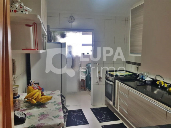 Imagem Apartamento com 3 Quartos à Venda, 70 m² em Vila Ede - São Paulo