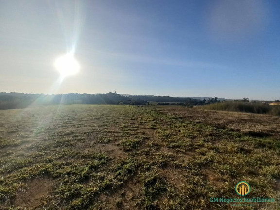 Imagem Terreno à Venda, 56.500 m² em Chácara Remanso (caucaia Do Alto) - Cotia Imagem Terreno à Venda, 56.500 m² em Chácara Remanso (caucaia Do Alto) - Cotia