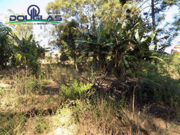 Imagem Imóvel Comercial à Venda, 5.000 m² em águas Claras - Viamão Imagem Imóvel Comercial à Venda, 5.000 m² em águas Claras - Viamão