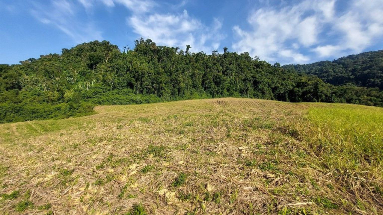 Imagem Terreno à Venda, 198.000 m² em Zona Rural - Presidente Nereu Imagem Terreno à Venda, 198.000 m² em Zona Rural - Presidente Nereu