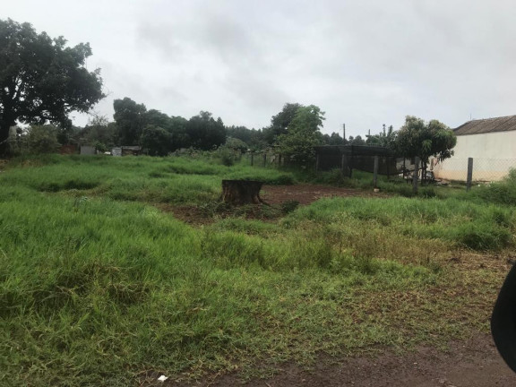 Terreno à Venda, 250 m² em Jardim Santa Isabel - Marialva