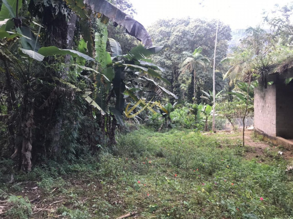 Imagem Terreno à Venda, 32 m² em Horto Florestal - Ubatuba