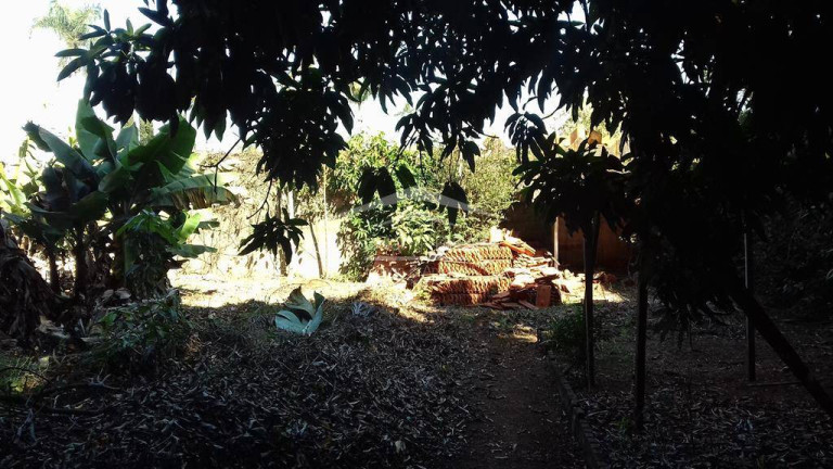 Imagem Chácara com 3 Quartos à Venda, 4.000 m² em Santa Terezinha - Paulínia Imagem Chácara com 3 Quartos à Venda, 4.000 m² em Santa Terezinha - Paulínia