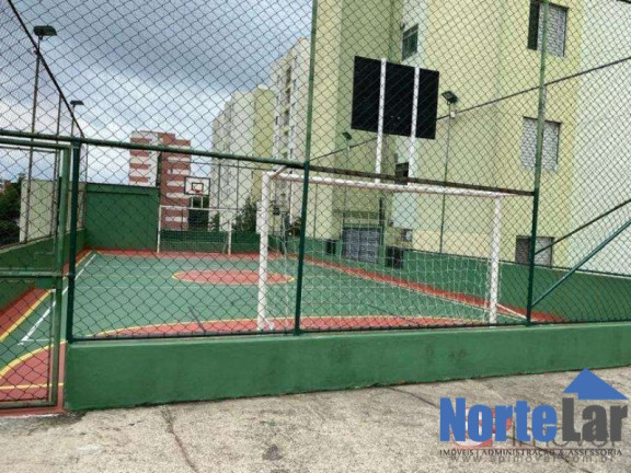 Imagem Apartamento com 3 Quartos à Venda, 60 m² em Vila Amélia - São Paulo