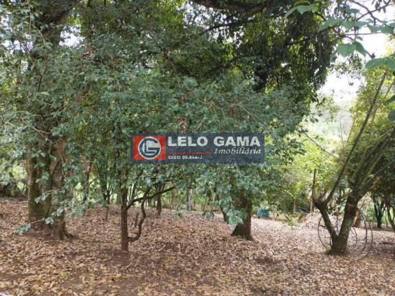 Imagem Terreno à Venda, 3 m² em Maria Mercedes - Santana De Parnaíba Imagem Terreno à Venda, 3 m² em Maria Mercedes - Santana De Parnaíba