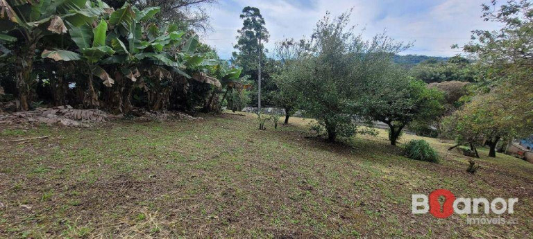 Imagem Terreno à Venda, 754 m² em Velha - Blumenau