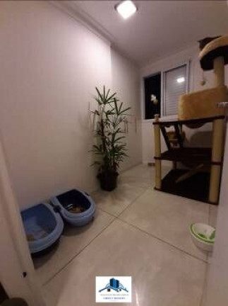 Imagem Apartamento com 2 Quartos à Venda, 55 m² em Vila Matilde - São Paulo Imagem Apartamento com 2 Quartos à Venda, 55 m² em Vila Matilde - São Paulo