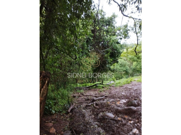 Imagem Imóvel à Venda, em Linha Xv De Novembro - Lindóia Do Sul Imagem Imóvel à Venda, em Linha Xv De Novembro - Lindóia Do Sul