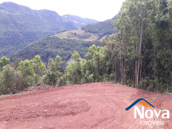 Imagem Imóvel à Venda, 31.701 m² em Linha Pirajá Baixa - Nova Petrópolis