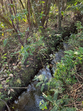 Imagem Terreno à Venda, 1.000 m² em Verava - Ibiúna