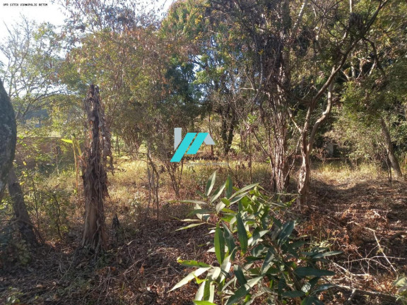 Imagem Fazenda à Venda, 2.300 m² em Cidade Jardim - Esmeraldas Imagem Fazenda à Venda, 2.300 m² em Cidade Jardim - Esmeraldas