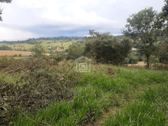 Imagem Imóvel à Venda, 30.000 m² em Conceição (rural) - Palmeiral Imagem Imóvel à Venda, 30.000 m² em Conceição (rural) - Palmeiral