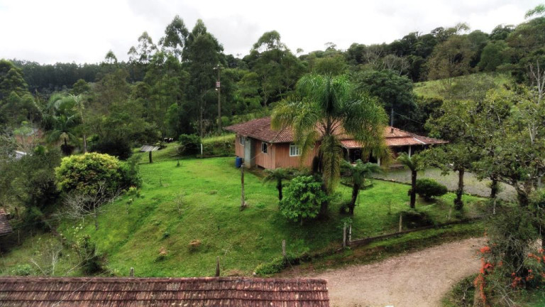 Imagem Imóvel com 6 Quartos à Venda, 250.000 m² em Zona Rural - Apiúna