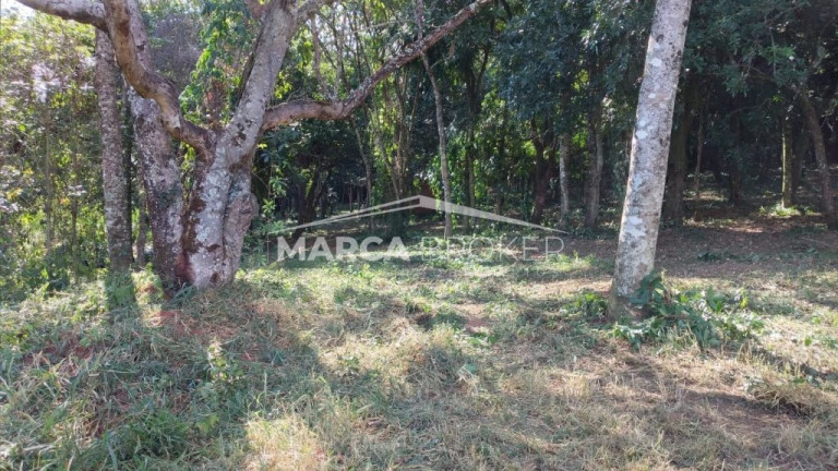 Imagem Fazenda à Venda, 35.000 m² em Floresta - Monte Santo De Minas Imagem Fazenda à Venda, 35.000 m² em Floresta - Monte Santo De Minas