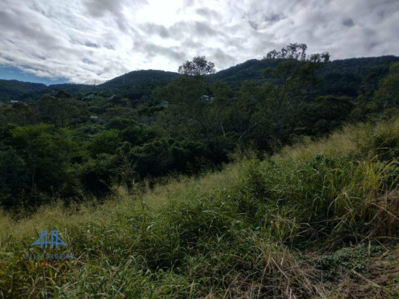 Imagem Terreno à Venda, 533 m² em Itacorubi - Florianópolis