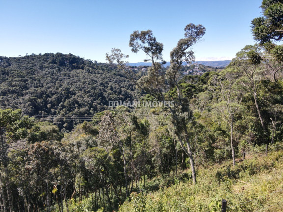 Imagem Terreno à Venda, 2.080 m² em Região Do Atalaia - Campos Do Jordão