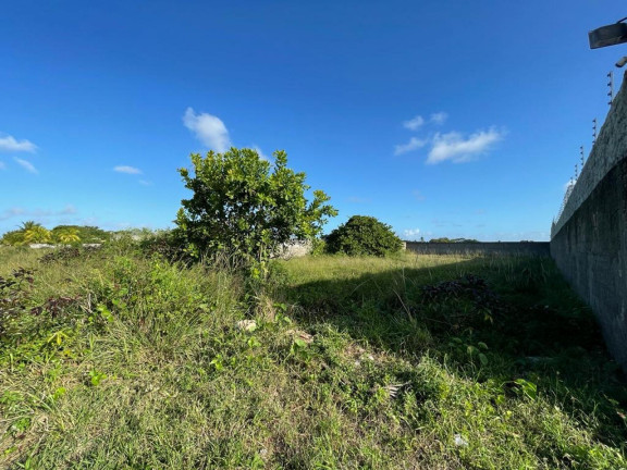 Imagem Terreno à Venda, 980 m² em Zona De Expansão (mosqueiro) - Aracaju Imagem Terreno à Venda, 980 m² em Zona De Expansão (mosqueiro) - Aracaju