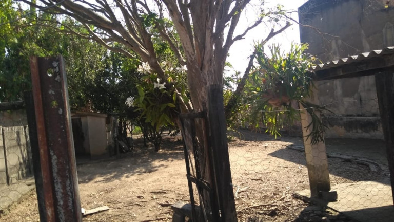 Imagem Casa com 4 Quartos à Venda, em Centro - Roseira Imagem Casa com 4 Quartos à Venda, em Centro - Roseira