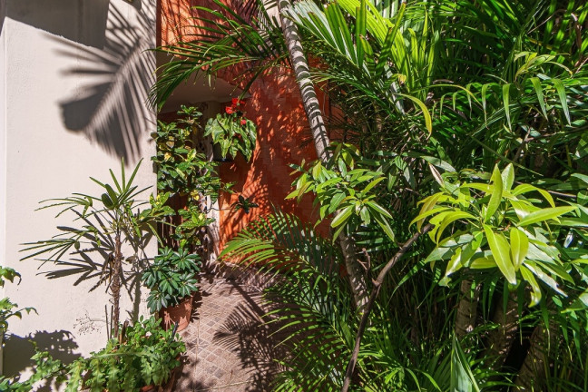 Imagem Casa com 3 Quartos à Venda, 115 m² em Sumaré - São Paulo