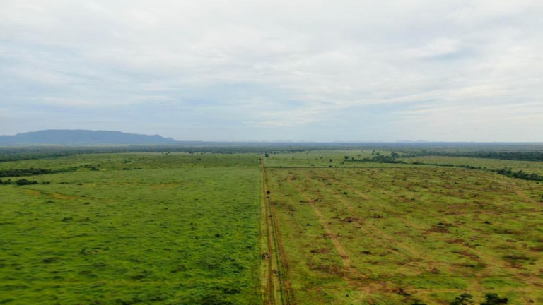 Imagem Imóvel à Venda, em Santana Do Araguaia/pa - Novo Progresso Imagem Imóvel à Venda, em Santana Do Araguaia/pa - Novo Progresso