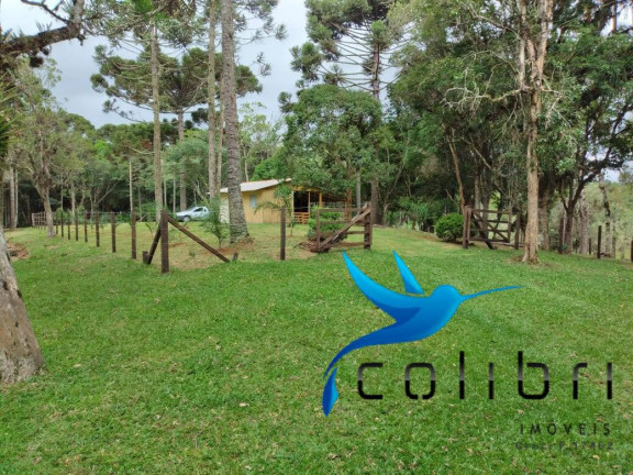 Imagem Chácara com 2 Quartos à Venda, 38.800 m² em Tarumã - Agudos Do Sul