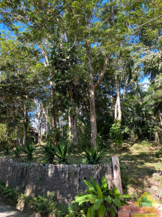 Imagem Terreno à Venda, 2.010 m² em Ponta Grossa - Ubatuba Imagem Terreno à Venda, 2.010 m² em Ponta Grossa - Ubatuba