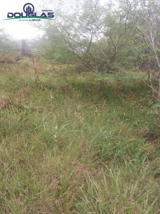 Imagem Imóvel Comercial à Venda, 20.000 m² em Viamão Imagem Imóvel Comercial à Venda, 20.000 m² em Viamão