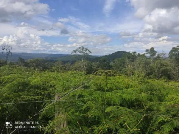 Imagem Imóvel à Venda, 174.240 m² em Sao Silvestre - Campo Largo Imagem Imóvel à Venda, 174.240 m² em Sao Silvestre - Campo Largo