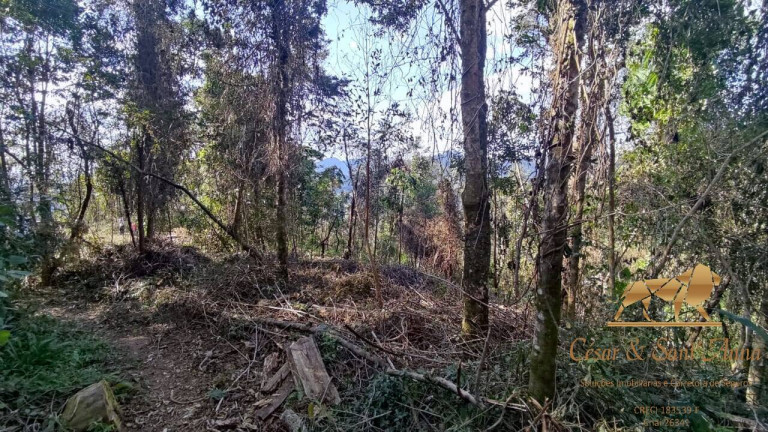 Imagem Terreno à Venda, 3.680 m² em Campos Do Jordão Imagem Terreno à Venda, 3.680 m² em Campos Do Jordão