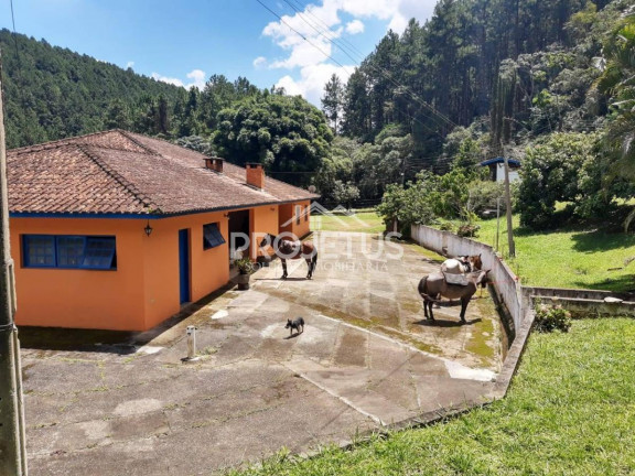 Imagem Fazenda à Venda, em Jardim Disneylandia - Ibiúna Imagem Fazenda à Venda, em Jardim Disneylandia - Ibiúna